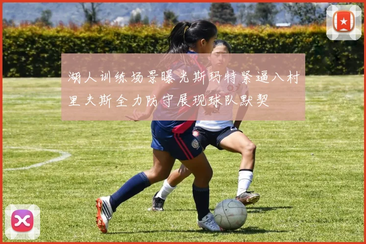 湖人训练场景曝光斯玛特紧逼八村里夫斯全力防守展现球队默契
