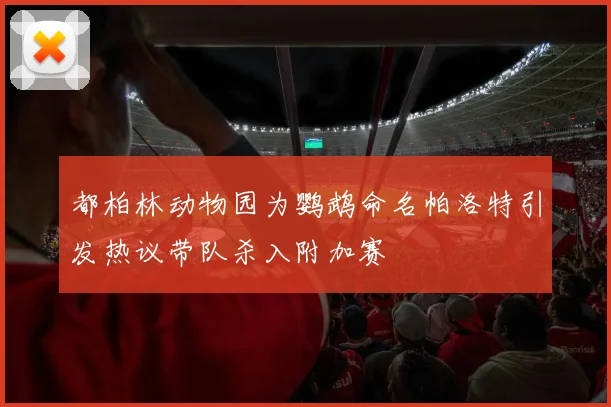 都柏林动物园为鹦鹉命名帕洛特引发热议带队杀入附加赛