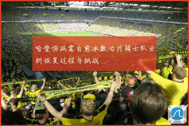 哈登伤病需自愈冰敷治疗骑士队分析恢复过程与挑战