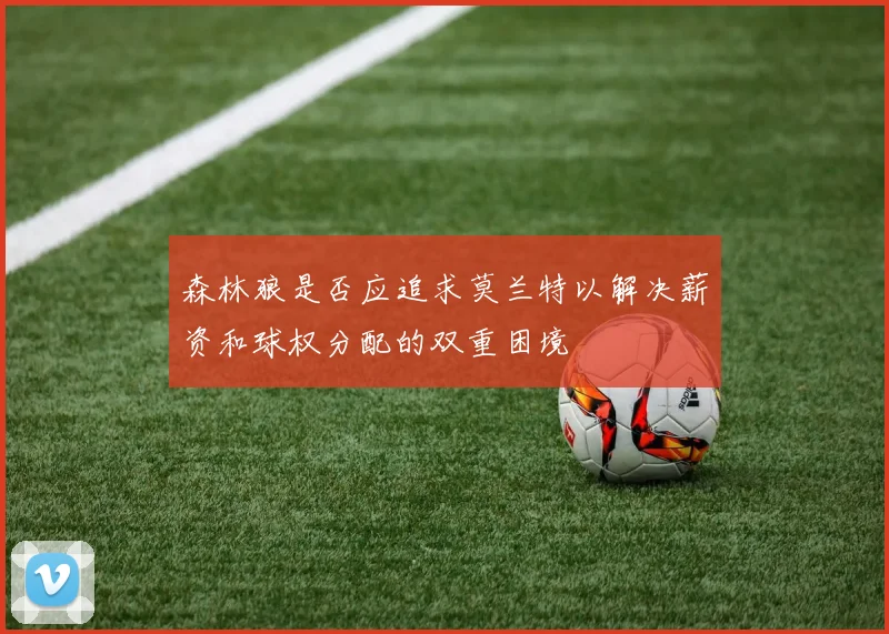 森林狼是否应追求莫兰特以解决薪资和球权分配的双重困境