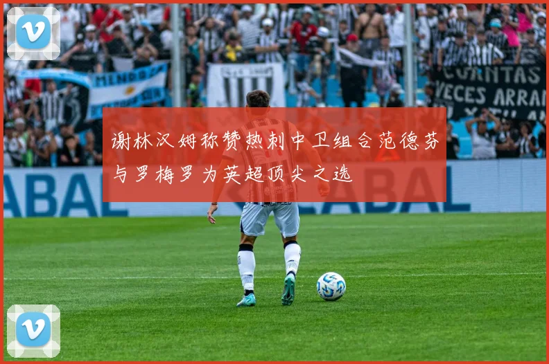 谢林汉姆称赞热刺中卫组合范德芬与罗梅罗为英超顶尖之选