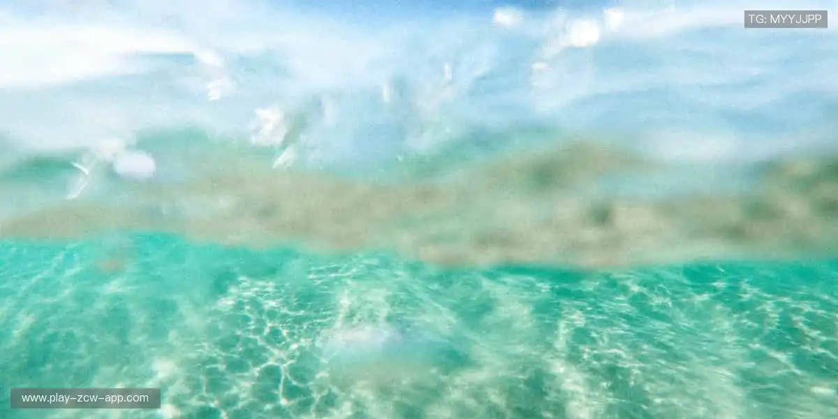 赛事回放,精彩永不落幕!⏯️📽️